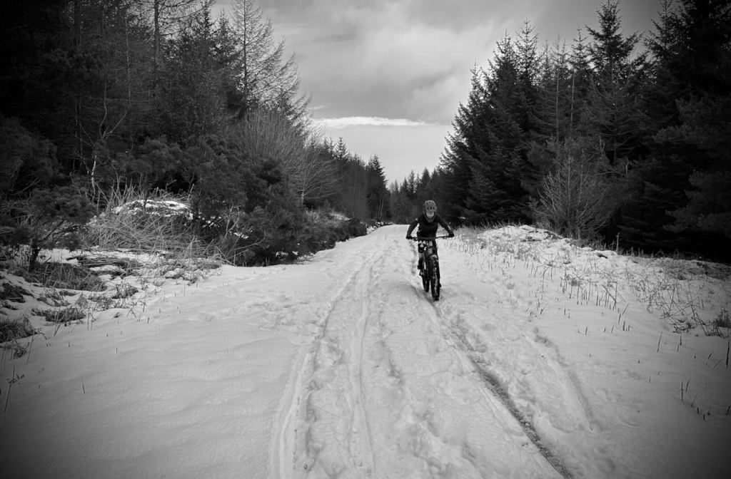 Christmas opening hours&nbsp;2023